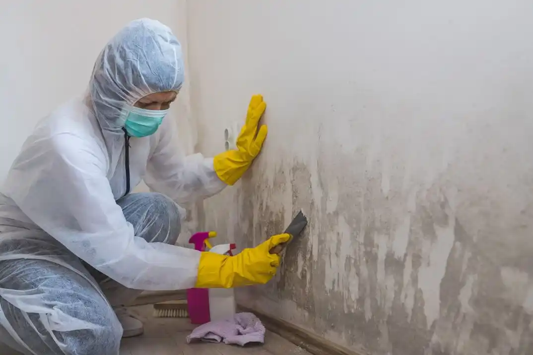 water damage restoration service West Parkside